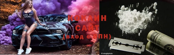 гашик Михайлов