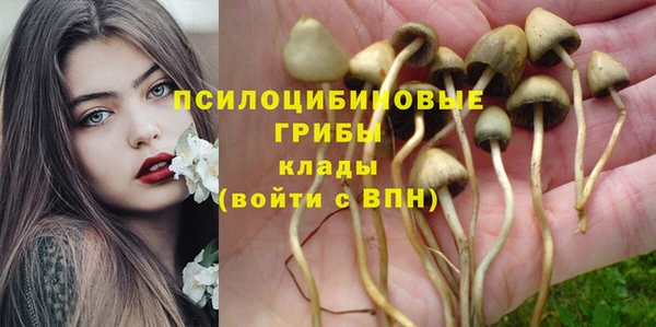 мяу мяу кристалл Алексин
