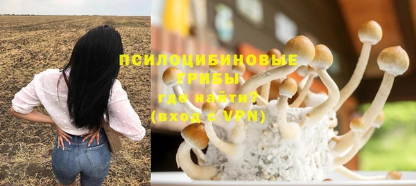 мяу мяу кристалл Алексин