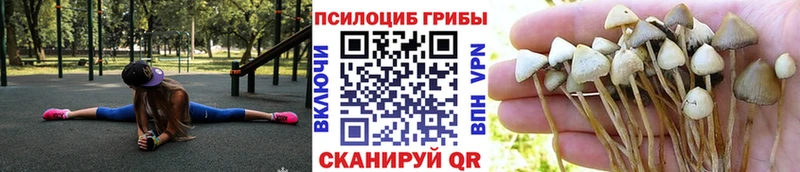 kraken онион  Бердск  Галлюциногенные грибы GOLDEN TEACHER 